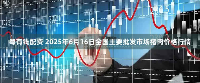 粤有钱配资 2025年6月16日全国主要批发市场猪肉价格行情