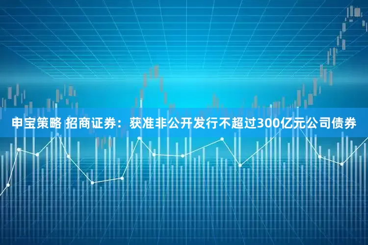 申宝策略 招商证券：获准非公开发行不超过300亿元公司债券